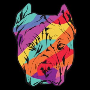 Colour Pitbull Design