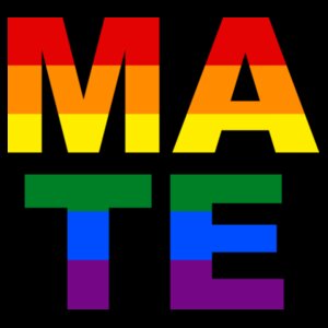 Soul Mate - Mate Version - Pride Tee Design