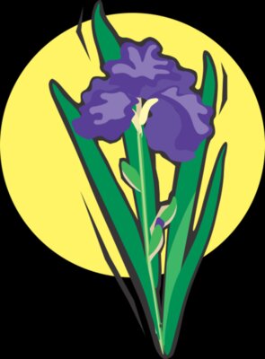 IRIS2