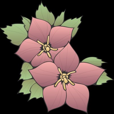 FLOWR037