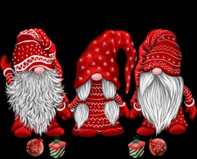 Merry Christmas Gnomies