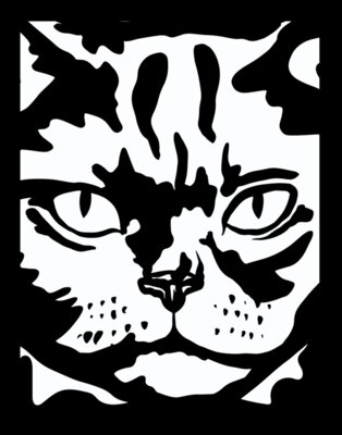 9121 CATOBEY Tshirt PR t shirt