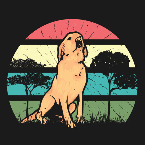 11802 Retro Retriever t shirt PR hoodie Thumbnail