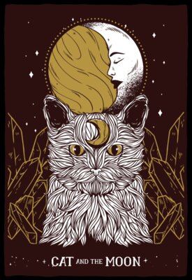 11180 Cat moon tshirt PR t shirt