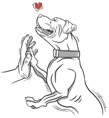 High 5 Pitbull