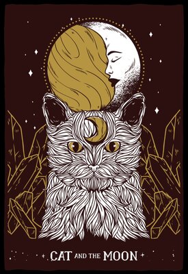 Cat Moon