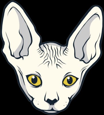 Sphinx Cat