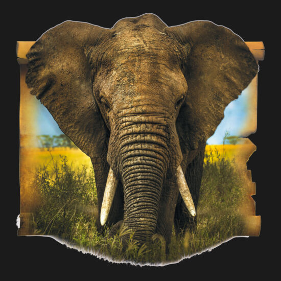 Elephant Thumbnail