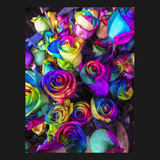 Roses Thumbnail