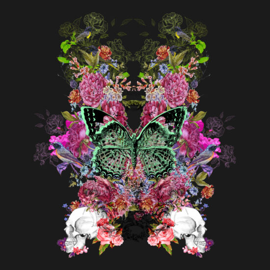 Butterfly Thumbnail