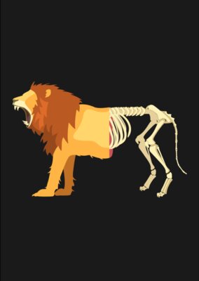 Lion Life Death