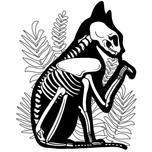 Cat Skeleton Thumbnail