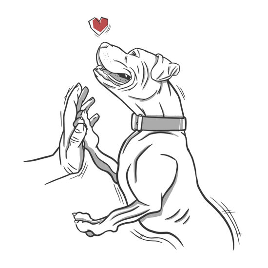 High 5 Pitbull Thumbnail