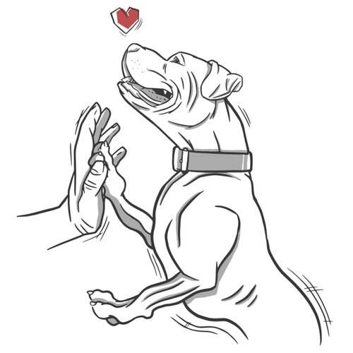 High 5 Pitbull Thumbnail