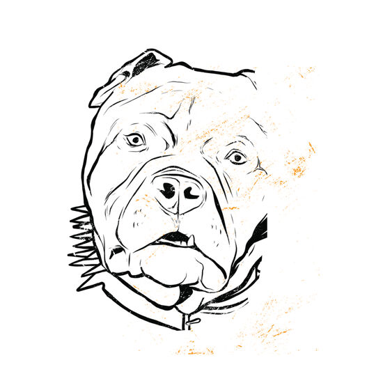 Pit Bull Face Thumbnail