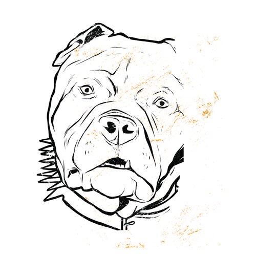 Pit Bull Face Thumbnail