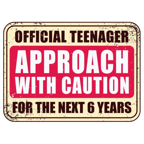 13th Birthday Thumbnail