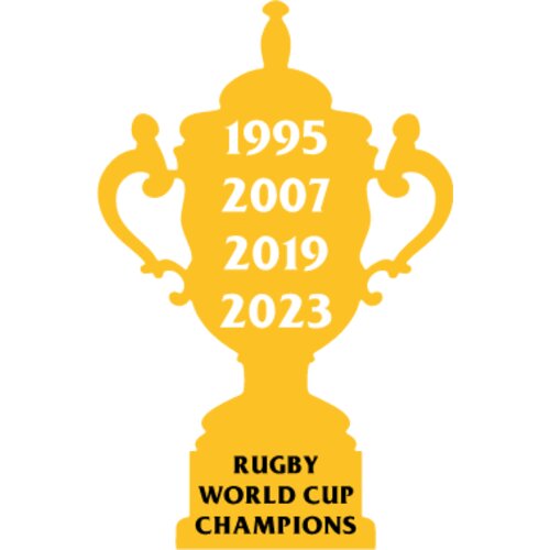 Bokke World Cup Trophy Thumbnail